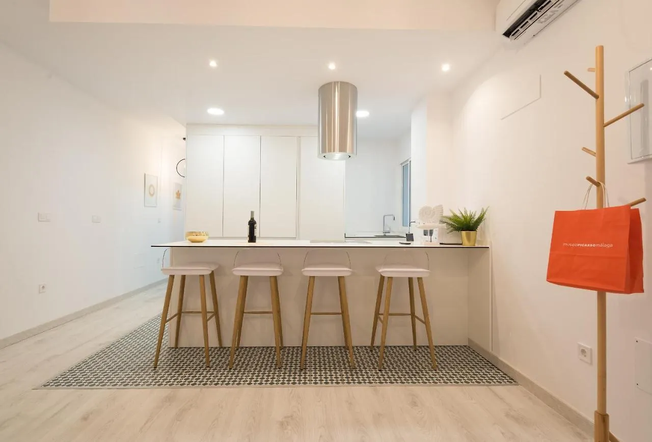 Nuevo Centro 3 Hab 2 Banos Ac Wifi Apartment Malaga